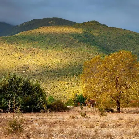 ヴィラ Olympus Pantheon Luxury