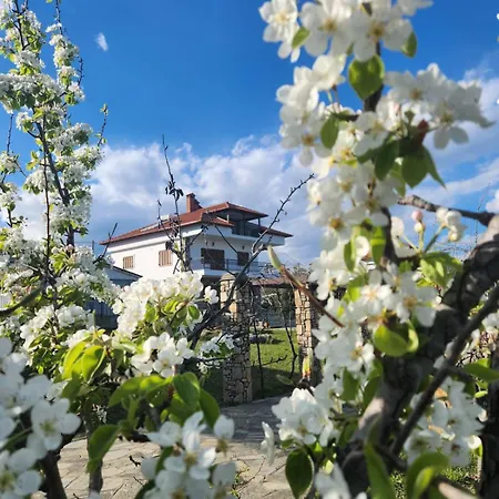 Olympus Pantheon Luxury