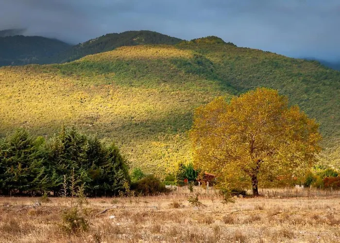 Villa Olympus Pantheon Luxury