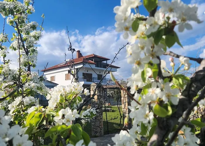 Olympus Pantheon Luxury